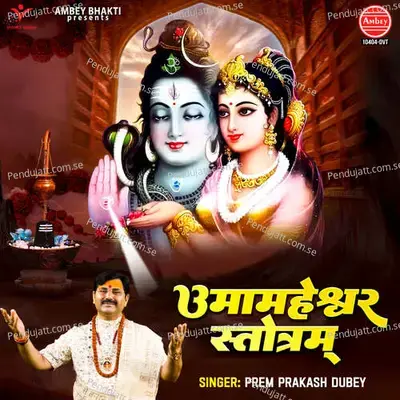 Uma Maheshwara Stotram - Prem Prakash Dubey album cover 