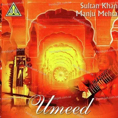 Teentaal - Ustad Sultan Khan album cover 