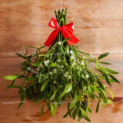 Mufasa  The Lion King  Hindi Original Motion Picture Soundtrack 