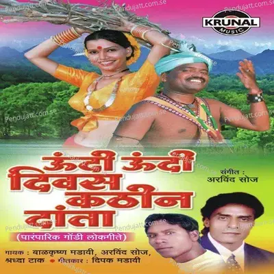 Pori Padi Batal Mhanta - Balkrishna Madavi album cover 