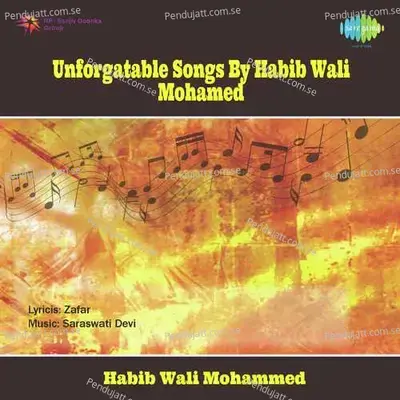 Yeh Na Thi Hamari Qismat - Habib Wali Muhammad album cover 