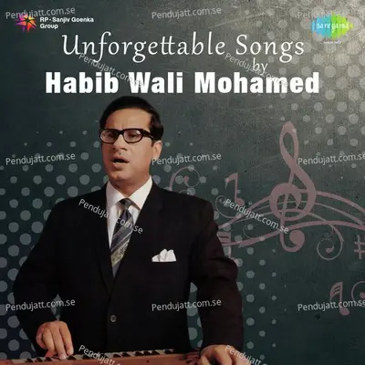 Lagta Nahin Hai Jee Mera - Habib Wali Muhammad album cover 