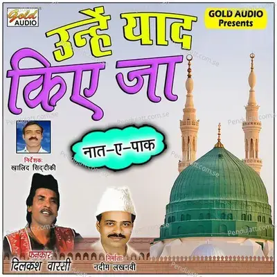 Unhein Yaad Kiye Ja - Dilkash Warsi album cover 