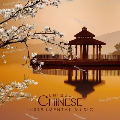 Unique Chinese Instrumental Music - World Music For The New Age cover album