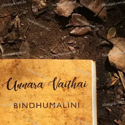 Unnara Vaithai - Bindhu Malini album cover 