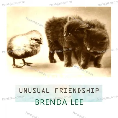 Unusual Friendship - Brenda Lee
