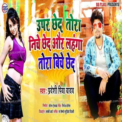 Upar Chhed Tora Niche Chhed Or Lehnga Tora Biche Chhed - Pradeshi Piya Yadav album cover 