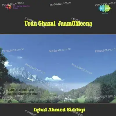 Shadiyan Der - Iqbal Ahmed Siddiqi album cover 