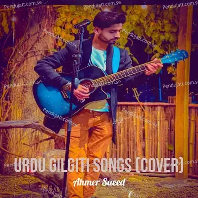 Tune Jo Na Kaha - Ahmer Saeed album cover 