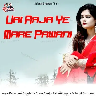 Uri Aaja Ye Mare Pawani - Parasram Bhadana album cover 