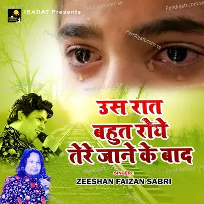 Us Raat Bahut Roya Tere Jane Ke Baad - Zeshan Faizan Sabri album cover 