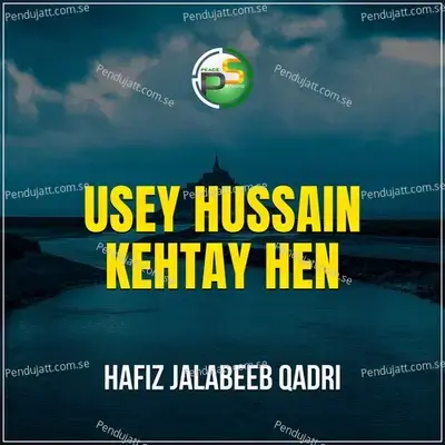 Usey Hussain Kehtay Hen - Hafiz Jalabeeb Qadri album cover 