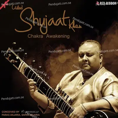 Orange - Swadhisthan Chakra - Ustad Shujaat Khan album cover 