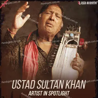 Peaks Of Passion - Ustad Sultan Khan album cover 