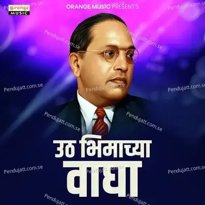 Uth Uth Bhimachya Wagha - Vijayraj Nikam album cover 