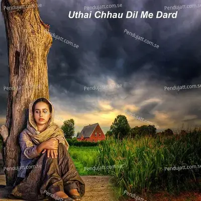 Uthai Chhau Dil Me Dard - Chunchun Bihari album cover 