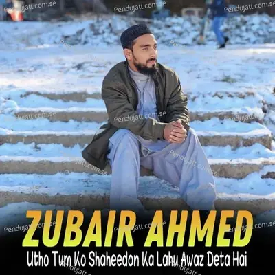 Utho Tum Ko Shaheedon Ka Lahu Awaz Deta Hai - Zubair Ahmed album cover 