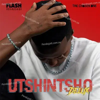 Ilizwi - Flash Ikumkani album cover 