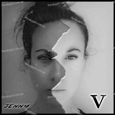 Que Je T  039 Aime - Jenny album cover 