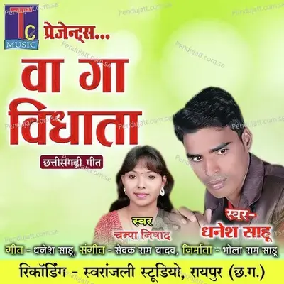 Va Ga Vidhata - Dhanesh Sahu album cover 