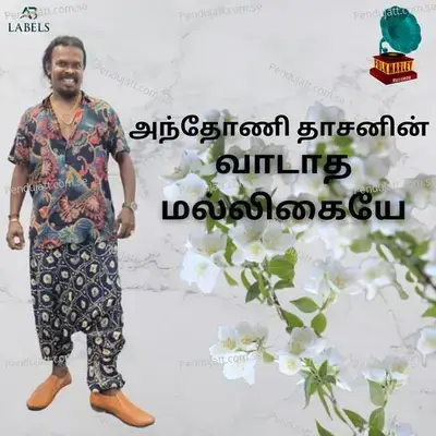 Vaadaatha Malligaiyae - Anthony Daasan album cover 