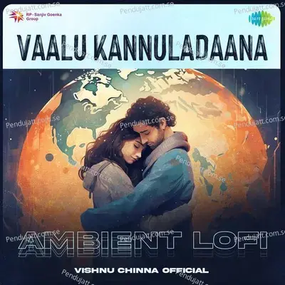 Vaalu Kannuladaana - Ambient Lofi - Vishnu Chinna Official album cover 