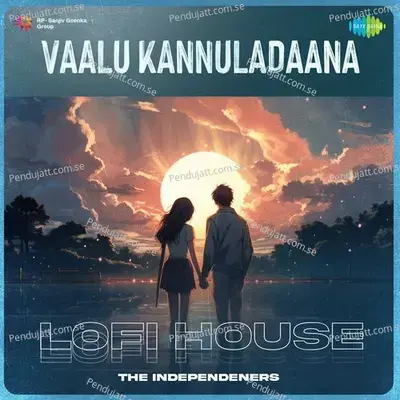 Vaalu Kannuladaana - Lofi House - The Independeners album cover 