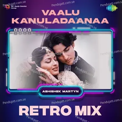 Vaalu Kanuladaanaa - Retro Mix - Abhishek Martyn album cover 