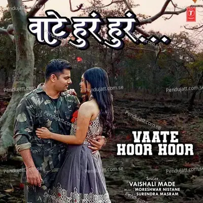 Vaate Hoor Hoor - Vaishali Made album cover 