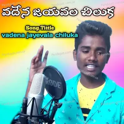 Vadena Jayevala Chiluka - Krishnudu album cover 