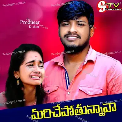 Vadhli Pothunava Nannu Ontari Cheshava - BALAKRISHNA VADHTHYA album cover 