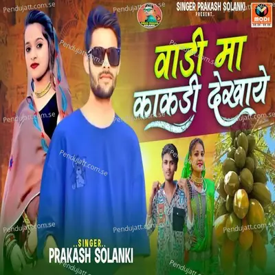 Vadi Ma Kakdi Dekhay - Prakash Solanki album cover 