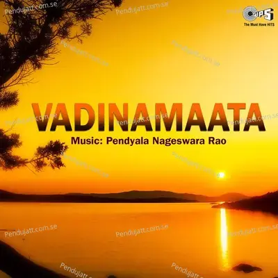 Niranta Nijaamma Vadinaammaa - Vani Jayaram album cover 