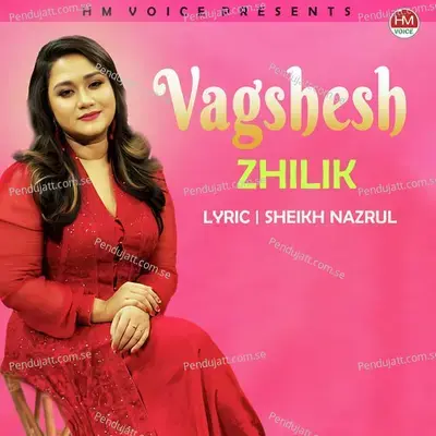 Vagshesh - Zhilik album cover 