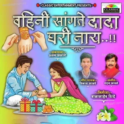 Vahini Sangate Dada Ghari Nahi - Vikas Salve album cover 