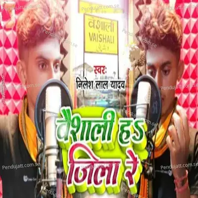 Vaishali Ha Jila Re - Nilesh Lal Yadav album cover 