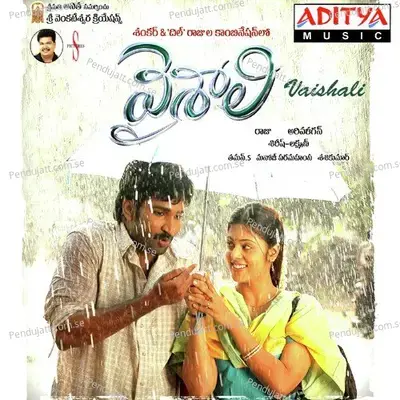 Theme Of Vaishali - Thaman S album cover 