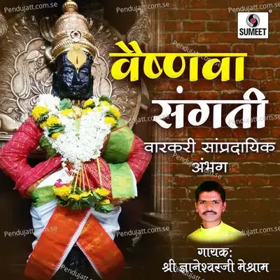 Savala Dekhila Nandacha - Dnyaneshwar Meshram album cover 