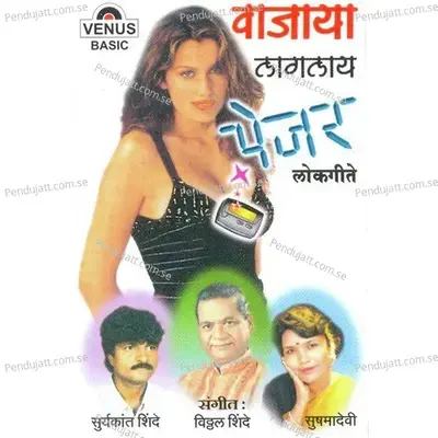 Tujha Tar Kahi Fayadach Nahi - Vitthal Shinde album cover 