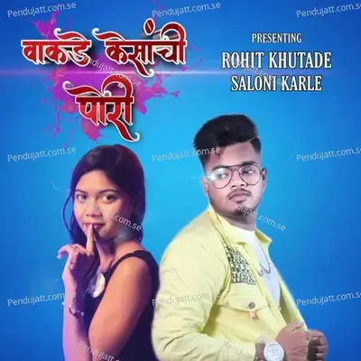 Vakde Kesanchi Pori - Rohit Khutade album cover 