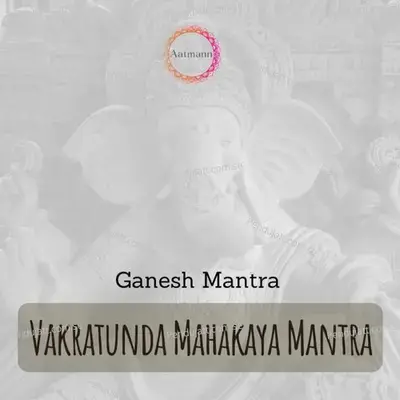 Vakratunda Mahakaya Mantra - Rohhan Patel album cover 