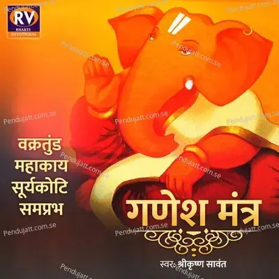 Vakratunda Mahakaya Suryakoti Samaprabha - Ganesh Mantra - Shrikrishna Sawant album cover 