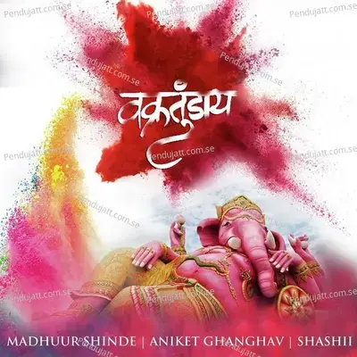 Vakratundaay - Madhuur Shinde album cover 