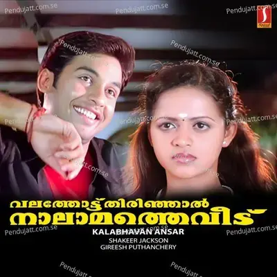 Doore Kanalaayi Eriyunna - Gireesh Puthanchery album cover 