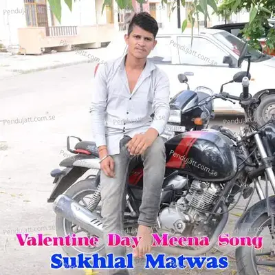 Valentine Day Meena Song - Sukhlal Matwas album cover 