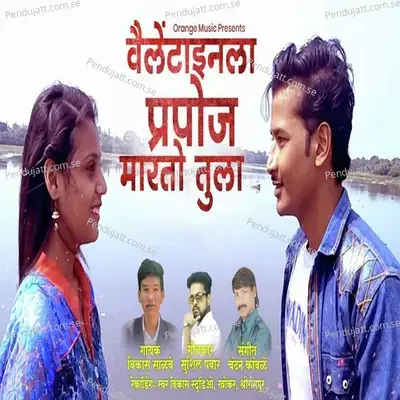 Valentinela Prapoj Marto Tula - Vikas Salve album cover 