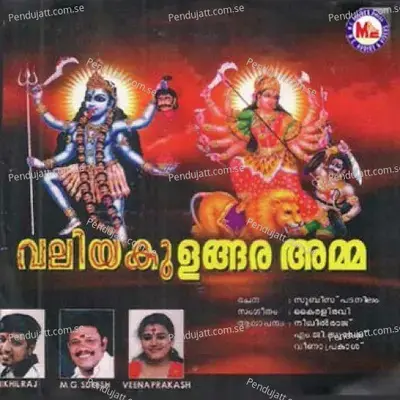 Vazhi Kattanam - Nikhil Raj album cover 