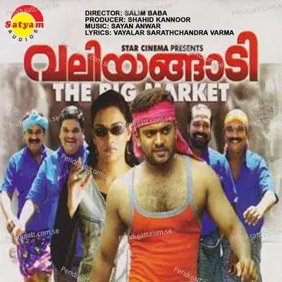 Kallai - Sayan Anwar album cover 
