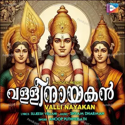 Valli Nayakan - Sujeesh Vellani album cover 