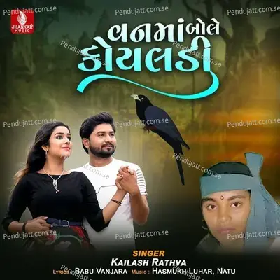 Vanama Boli Koyaladi - Kailash Rathva album cover 